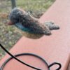 needle felted birds